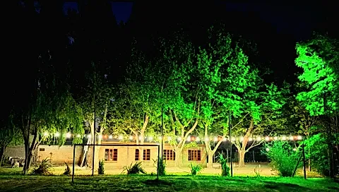 Salón Cubitto