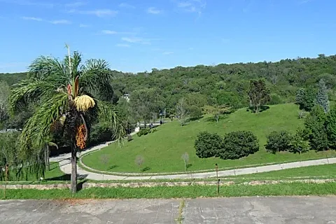 El Castillo International 4