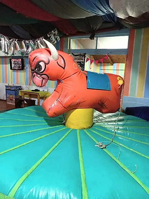 Pituquitos 4