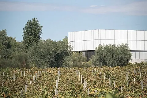 Bodega Finca Savina 2