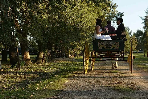Alamos de Cañuelas 4
