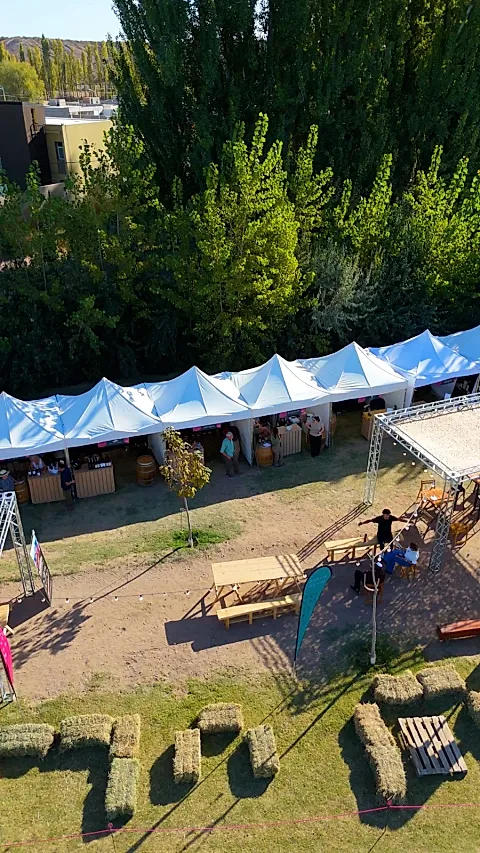 Carpas plegables Neuquen 5
