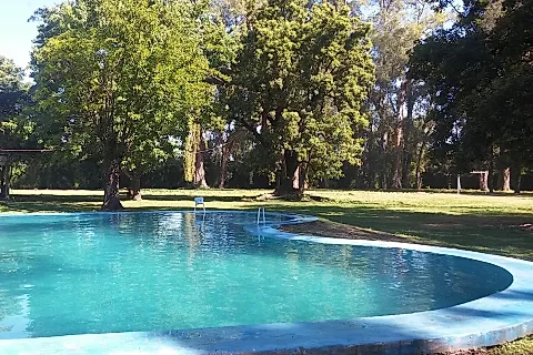Raíces Vascas 2