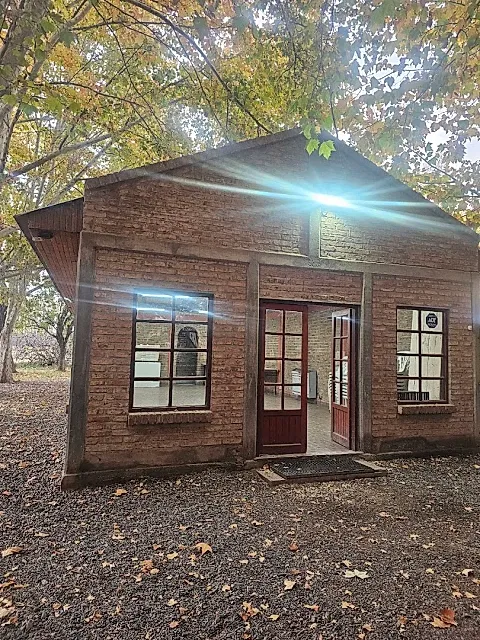 Salón Cubitto 4