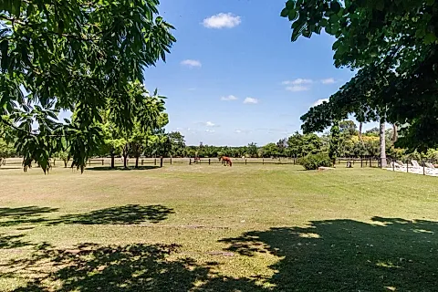 Agropasión 5