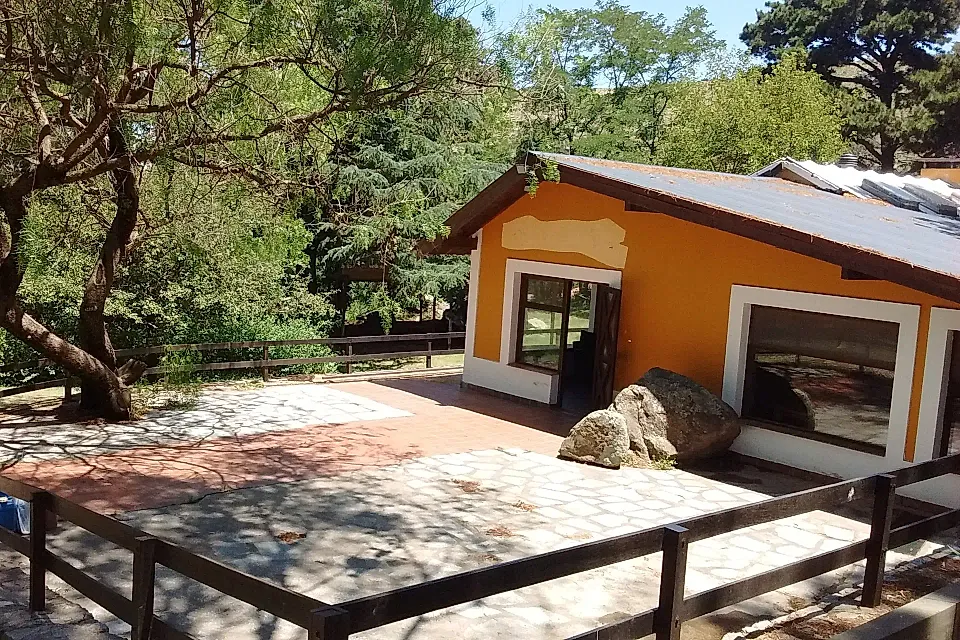 Kalifa