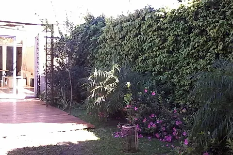 Calavera no Chilla 4