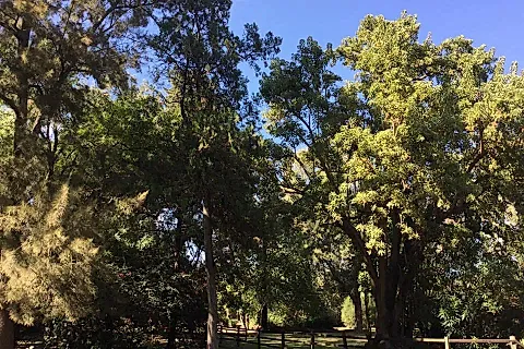 Chacra Los Pinos 2