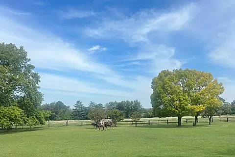 Agropasión 4