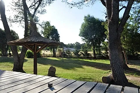 El Aguaribay 2