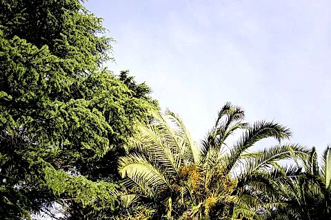 Quinta El Milagro 3