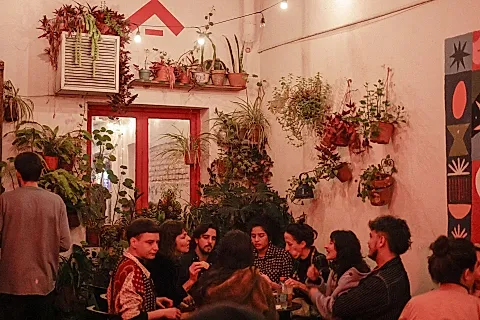 La Casa del Árbol 2
