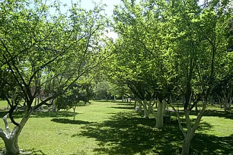 Quinta Los Artistas 4