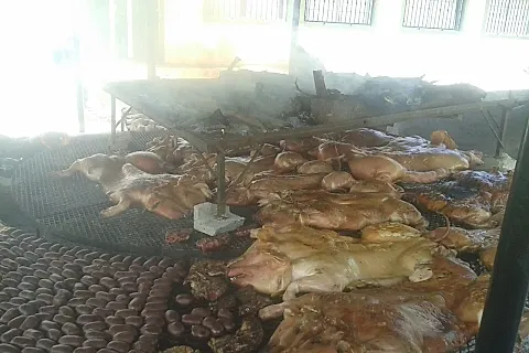 Granja Milagros 3