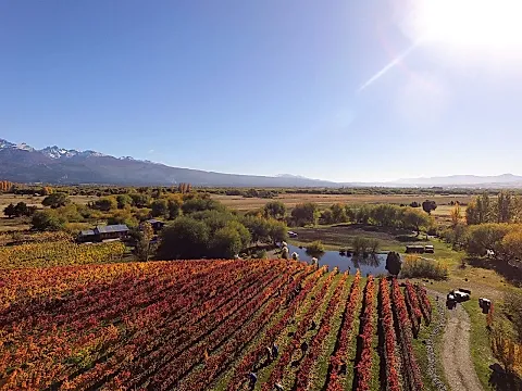 Viñas del Nant y Fall