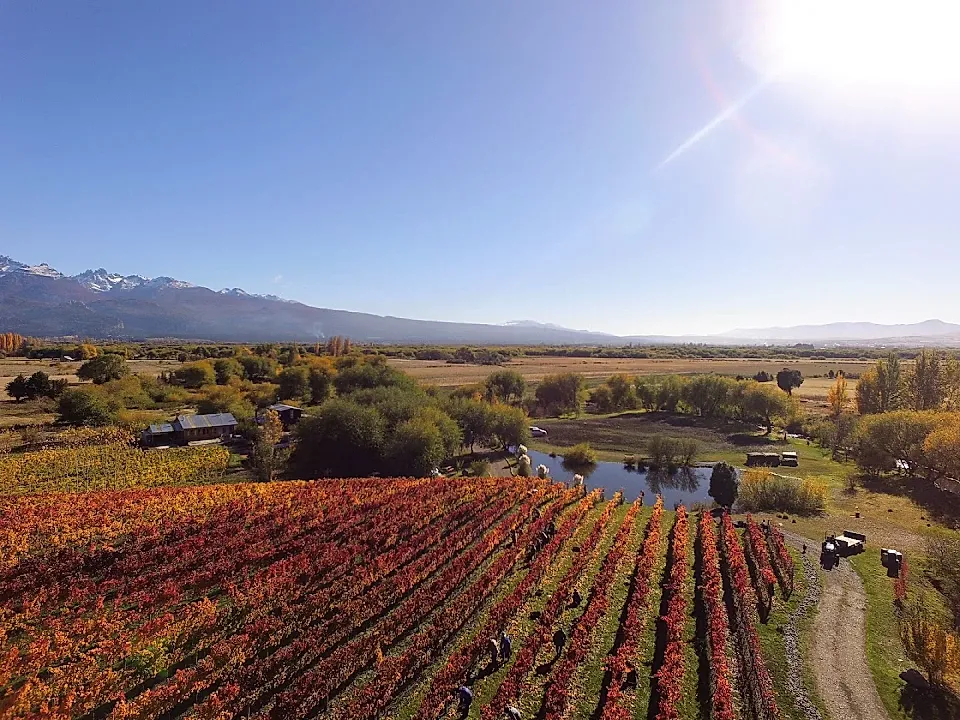 Viñas del Nant y Fall