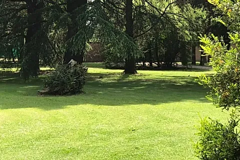 Quinta Tata 3