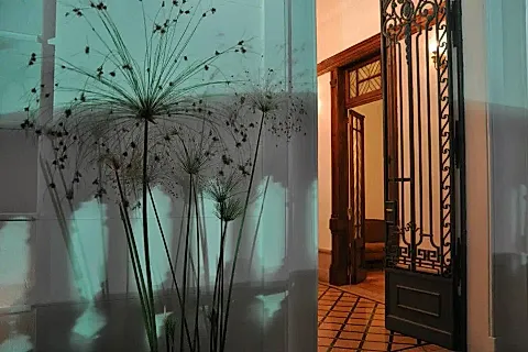 Salón Del Carmen 2