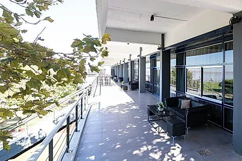 Jano's Olivos 3