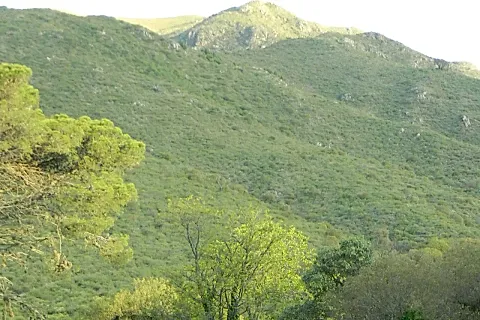 Alto San Pedro 3