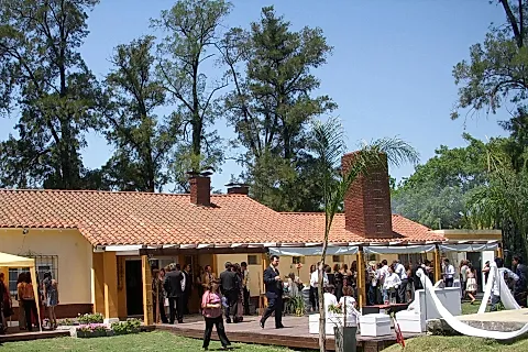 Del Bosque 5