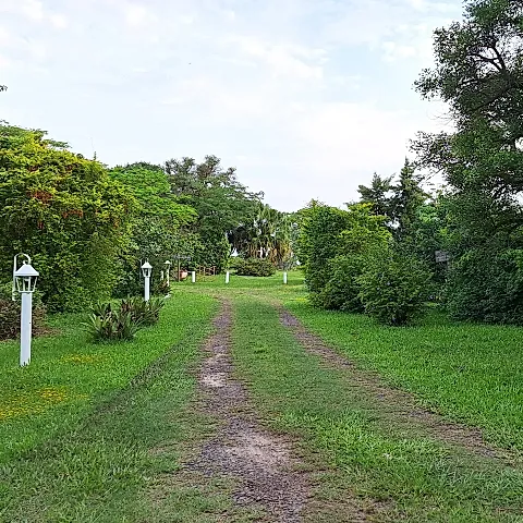 Quinta Margarita 5