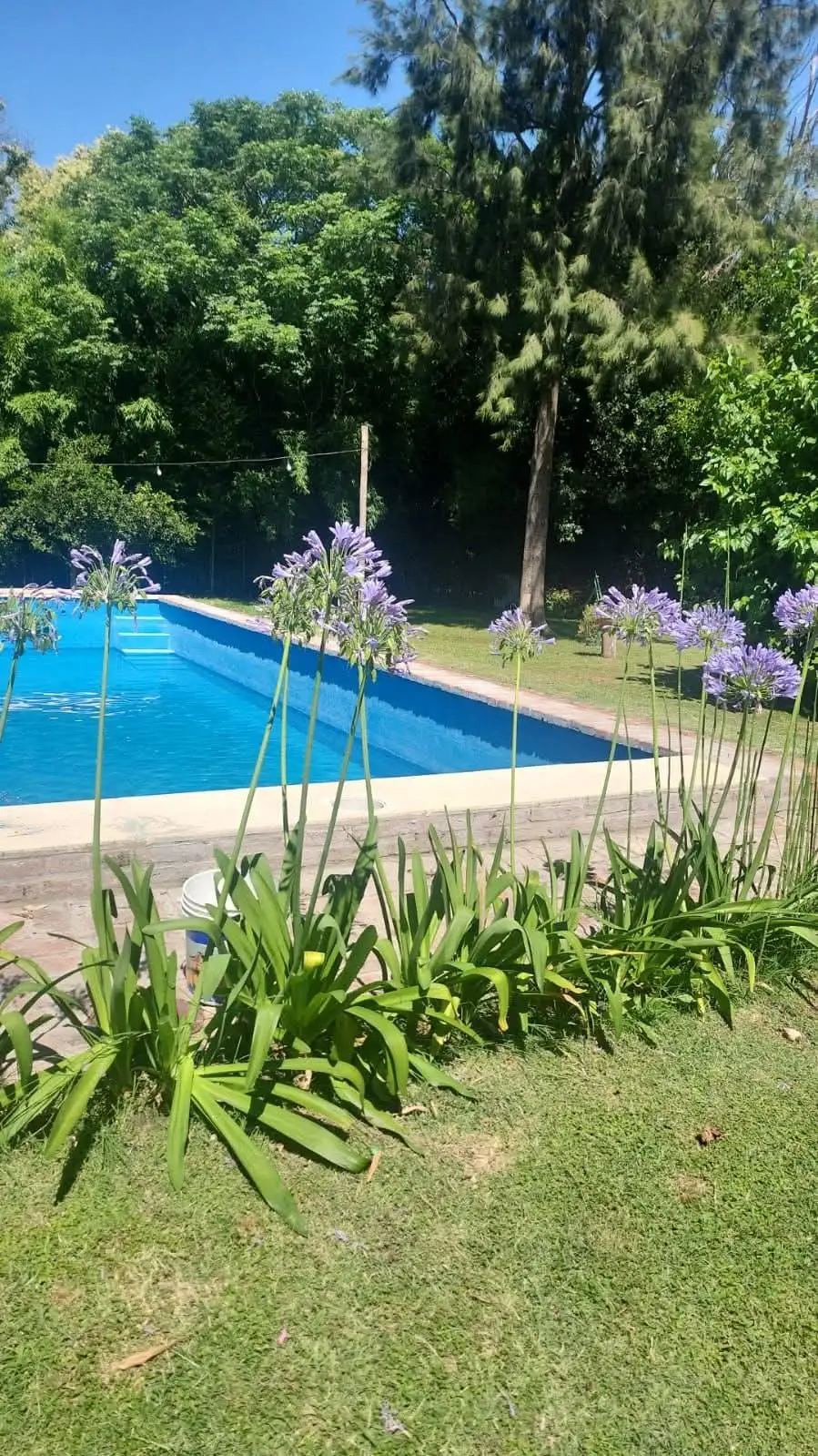 Quinta santa liz