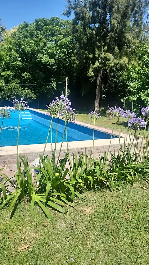 Quinta santa liz