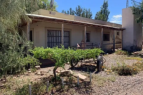 Finca las Marujitas 4
