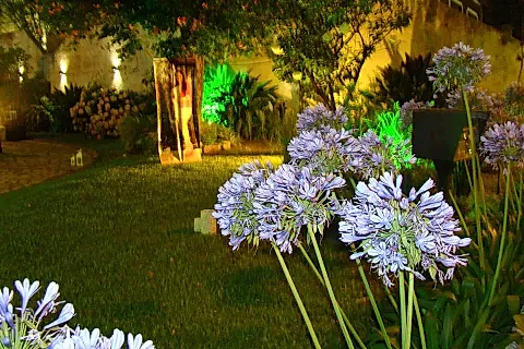 Angels Eventos 3