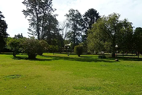 La Arbolada Eventos 4