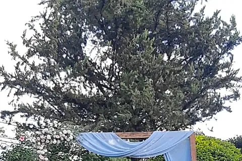 La Posada del Rey 4