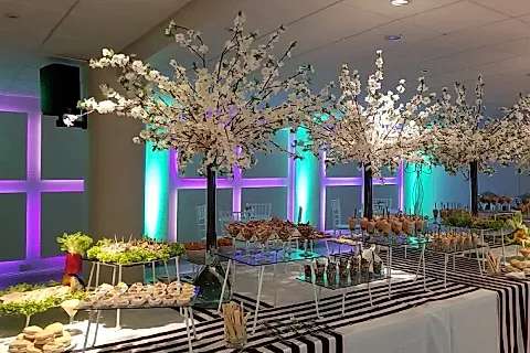 Moaré Eventos 5