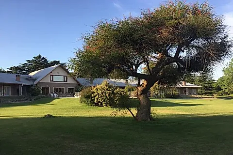 El Ceibo 3