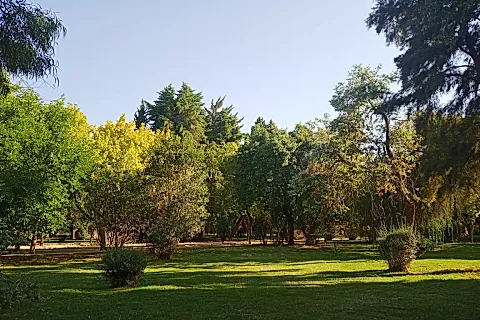 Exclusive Centro Turístico Internacional 5
