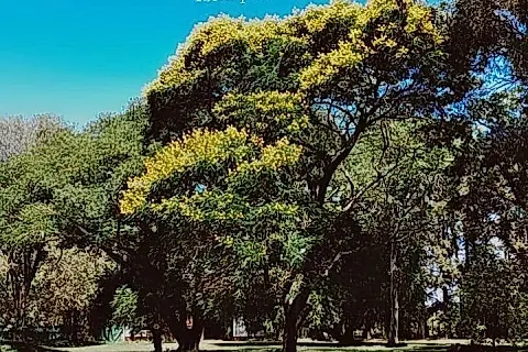 Estancia Santa Juana 5
