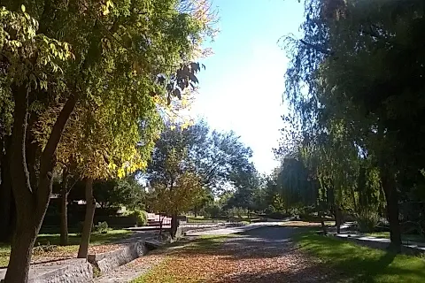 Exclusive Centro Turístico Internacional 4