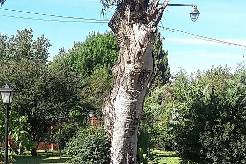 Quinta Las Dos Banderas 3