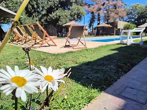 Las Moras Multiespacio 3