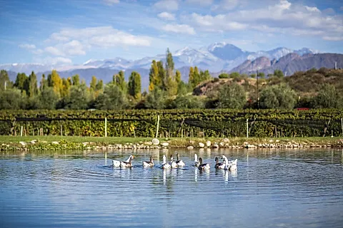 Durigutti Family Winemakers Finca Victoria 3