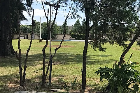 Quinta Muñecas