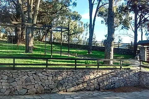 Kalifa 5