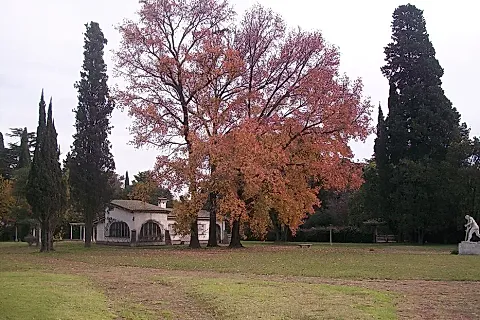 La Elsita 5