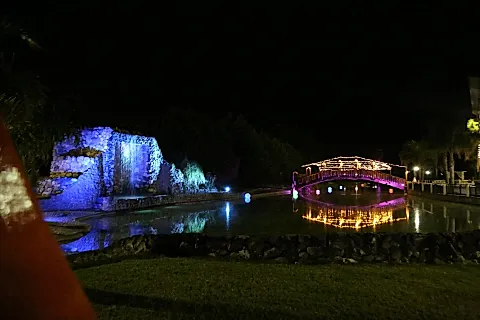 Zebra Lago Eventos 4