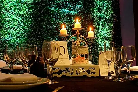 Verde Estar 2