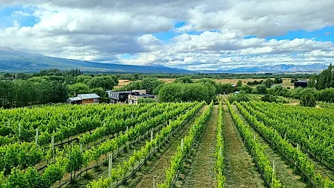 Viñas del Nant y Fall 3