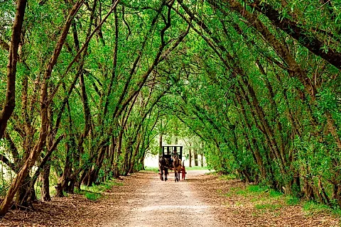 Estancia Santa Isabel 5