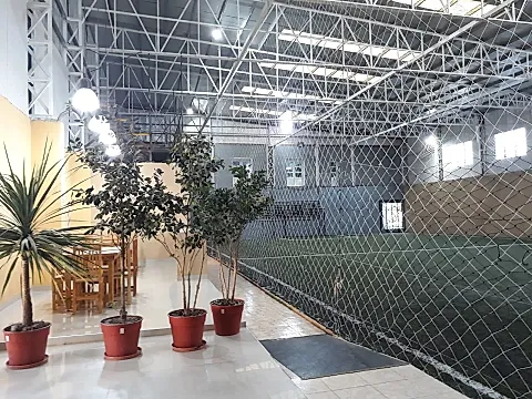 Zona Gol 2