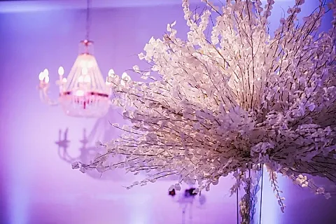 Cícero Eventos 4