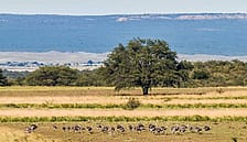 La Pampa